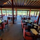 제주포도 이미지