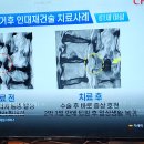 언제나봄 이미지