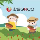 한일솔라텍