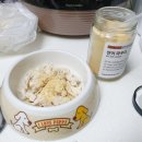 온힐펫 당하점 이미지