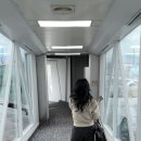 1031-1 중국 상해 동방명주타워 이미지
