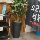 우리할매떡볶이용산호암점 이미지