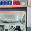 동아대중앙태권도 이미지