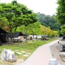 영양군청소년수련원 캠핑장 | 자연 속 봄맞이 `영양 청소년수련원 캠핑장`