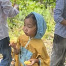 OK농장 | 🌿 사이판 OK 농장 체험 후기