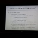 화이트파트너스