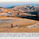 명우목장 이미지