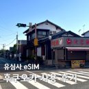 일본 후쿠오카 이심 유심사 구매 설치 방법 및 실제 사용 후기
