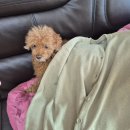 씨유구미임은중앙점 | 나, 25살까지 살 줄 몰랐으니까