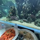 거부기헤어 | 일산 실내 데이트 아쿠아리움 + 데이트 꿀팁 ㅎ