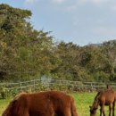 신창유유희 이미지