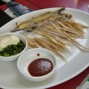 왕노가리호프 | [부천 신중동 술집] '왕노가리와짝태' | 먹자골목 실내 &amp; 야장 2차 호프집