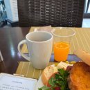 HOSTEL THE CAMINO | 베이란 맛집/ 안탈리아에서 페티예 버스/ 페티예 el camino pub&amp;hostel/ 페티예 버스터미널 택시 현금