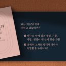 포도나무365