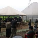 아라뱃길 승마클럽 이미지