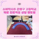 하나자동차공업사주 | 수비학사주 은평구 과학기술고등학교 타로 진로적성 상담 멘토링 후기