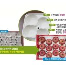 청과물처리장 이미지