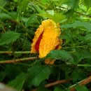 수선정사 이미지