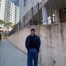 어반베이직 티스토리