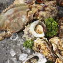 사천상회 이미지