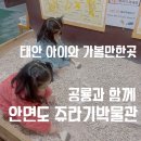 충남 태안 아이와 가볼만한곳 안면도 쥬라기박물관 태안여행 키즈카페까지