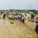 봉서중학교 이미지