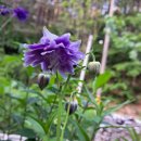 토골농장 이미지