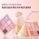 홀리카홀리카 쉘온더비치 섀도우팔레트 내돈내산 후기 (레터프롬스프링 비교!)