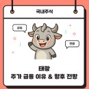 태광정밀 태양광발전소 | 태광 주가 43800원 상승 이유 및 피팅 밸브 관련주 향후 전망 분석