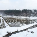 안흥초등학교덕천분교장 이미지