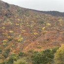 작은섬 2 이미지