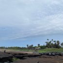 리인제주 이미지