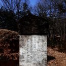 비소(장군)-호-4 | 운길산 자락 변협,변응성 장군묘