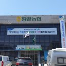 땅끝관광지 | [전라남도]땅끝마을+목포 개큰무리 렛츠고