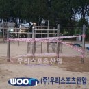 탄현초등학교 이미지