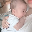 꽁냥파파
