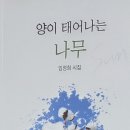 『양이 태어나는 나무』-임정희 시집을 읽은 독후감 이미지