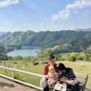 화악목장 | 춘천 "해피초원목장" 완전정복 (내돈내산, 솔직후기, 이용꿀팁)