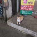우래식당 이미지
