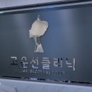 닥터고운선의원