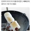 마시멜로 이미지