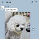 그루밍051 티스토리