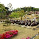 봄꽃힐링투어 이미지