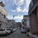 모노컬러(monocolor) 이미지