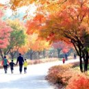 단풍나무 이미지