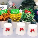 수원-0512 이미지