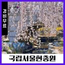 국립서울현충원 정국교화장실 | 서울 벚꽃 명소 국립 현충원 수양벚꽃 포토존 주차 정보