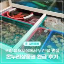 온누리 | 포항 흥해시장에서 누린 설 명절, 온누리상품권 환급 후기