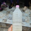 삼포 한식 뷔페 이미지