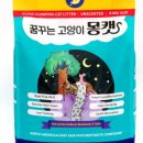 꿈꾸는 고양이 이미지